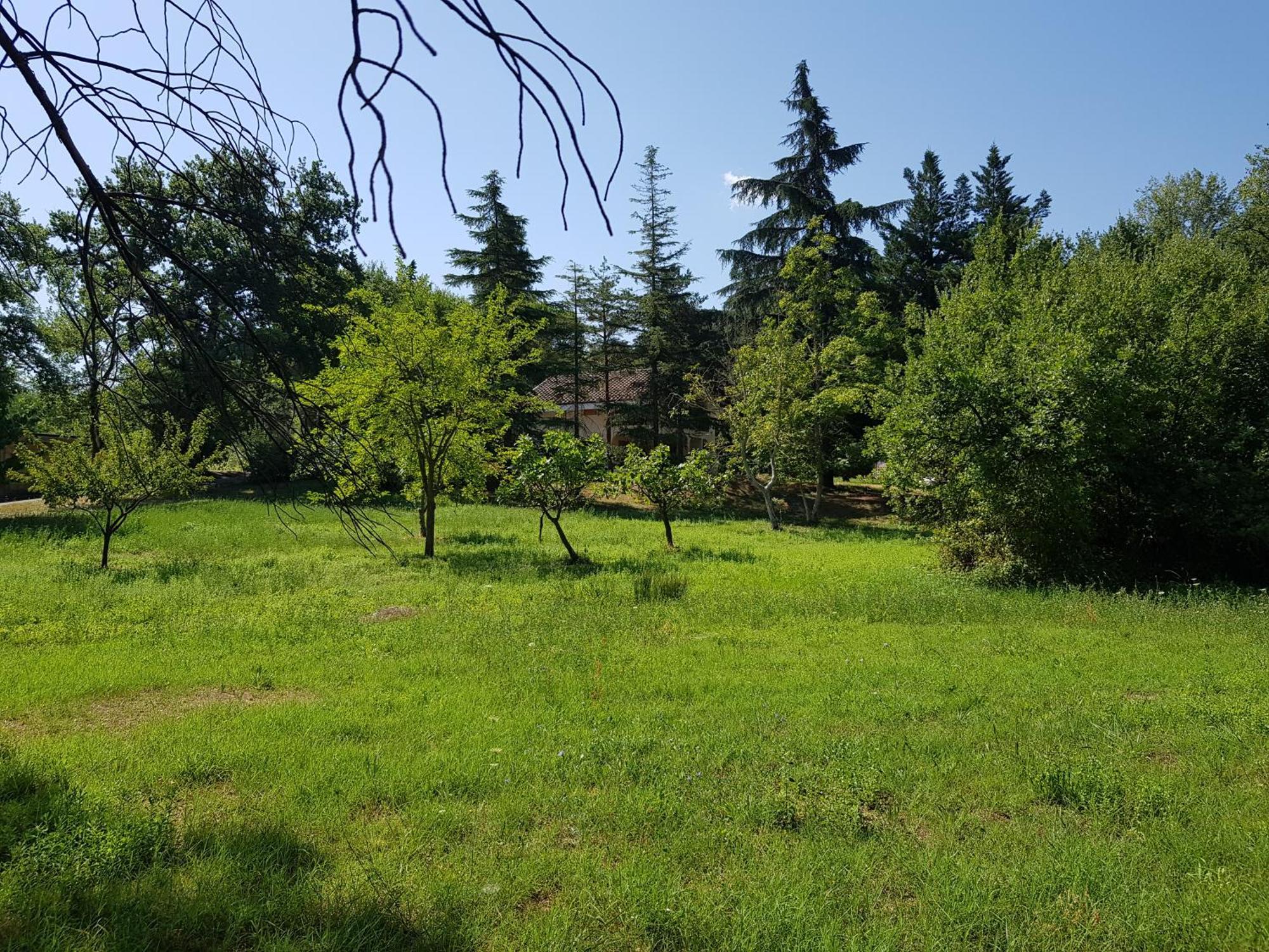 Majella Green House Roccamontepiano Esterno foto